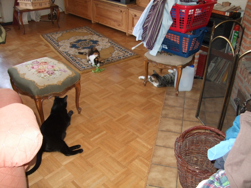 Ostern 2007 Orleshausen 111 